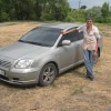 avensis